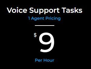 Voice Support Tasks - VAs Up To 1 Year Of Experienced